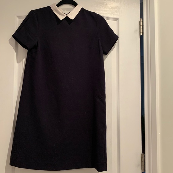 Zara Navy blue dress with white collar - Picture 1 of 1